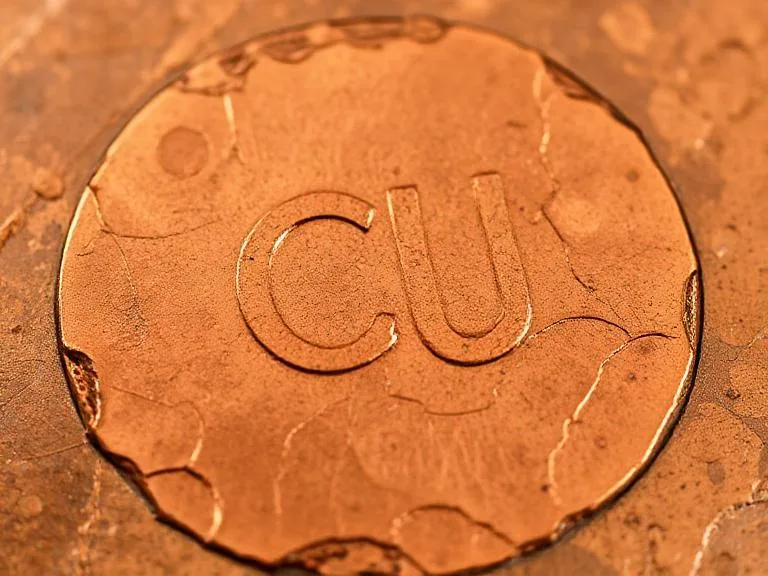 What Are Some Essential Metals?